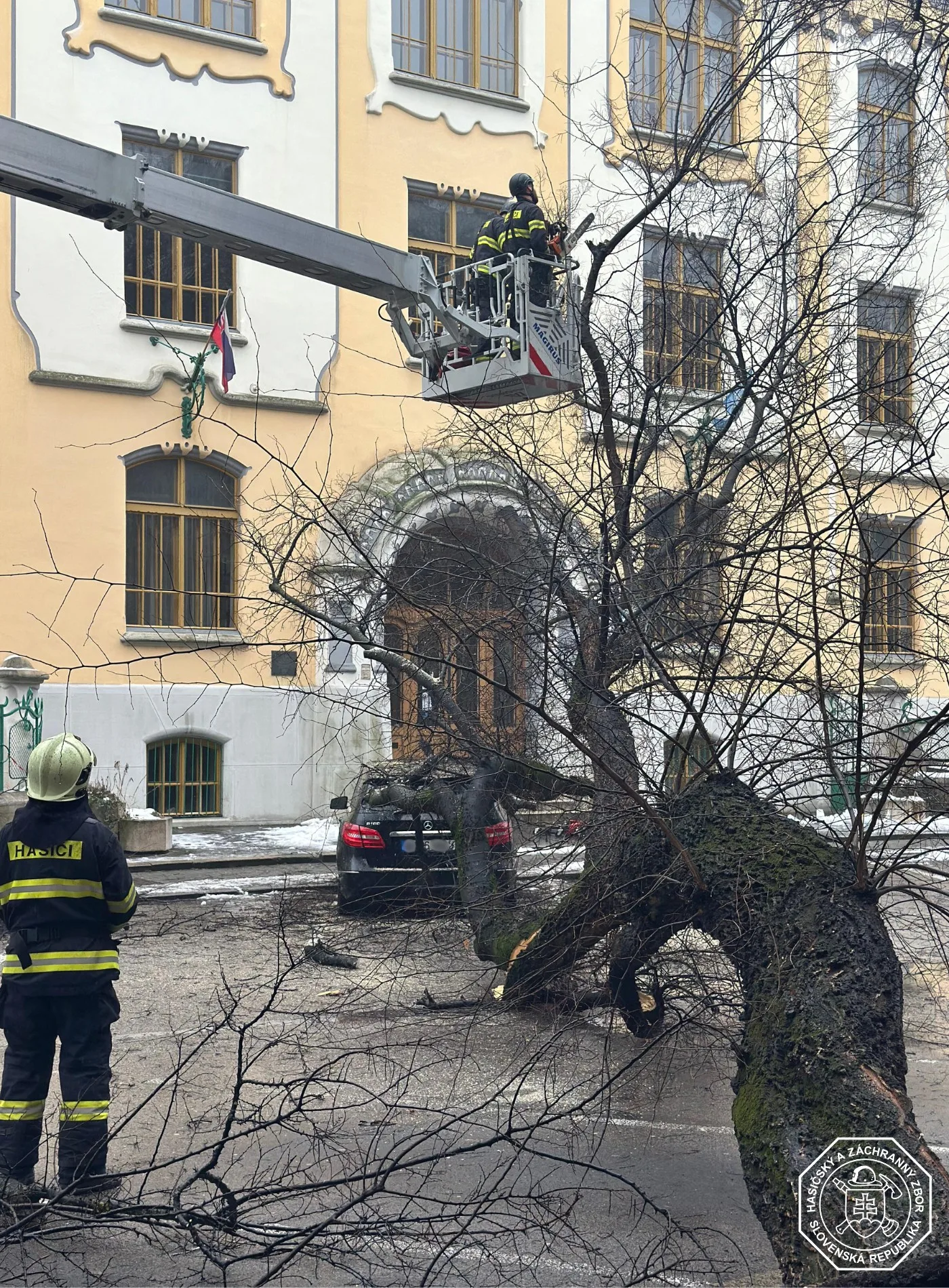 hasiči strom Bratislava