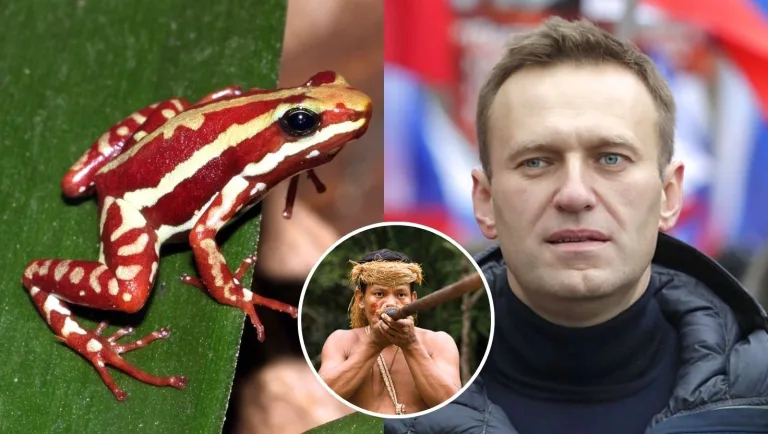 Alexej Navaľnyj bol usmrtený mimoriadne vzácnym jedom z kože žiab.