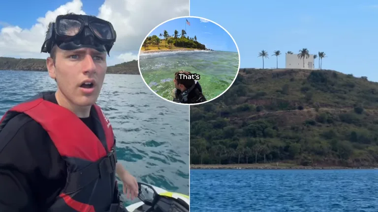 Nico Grigg Epstein Little Saint James