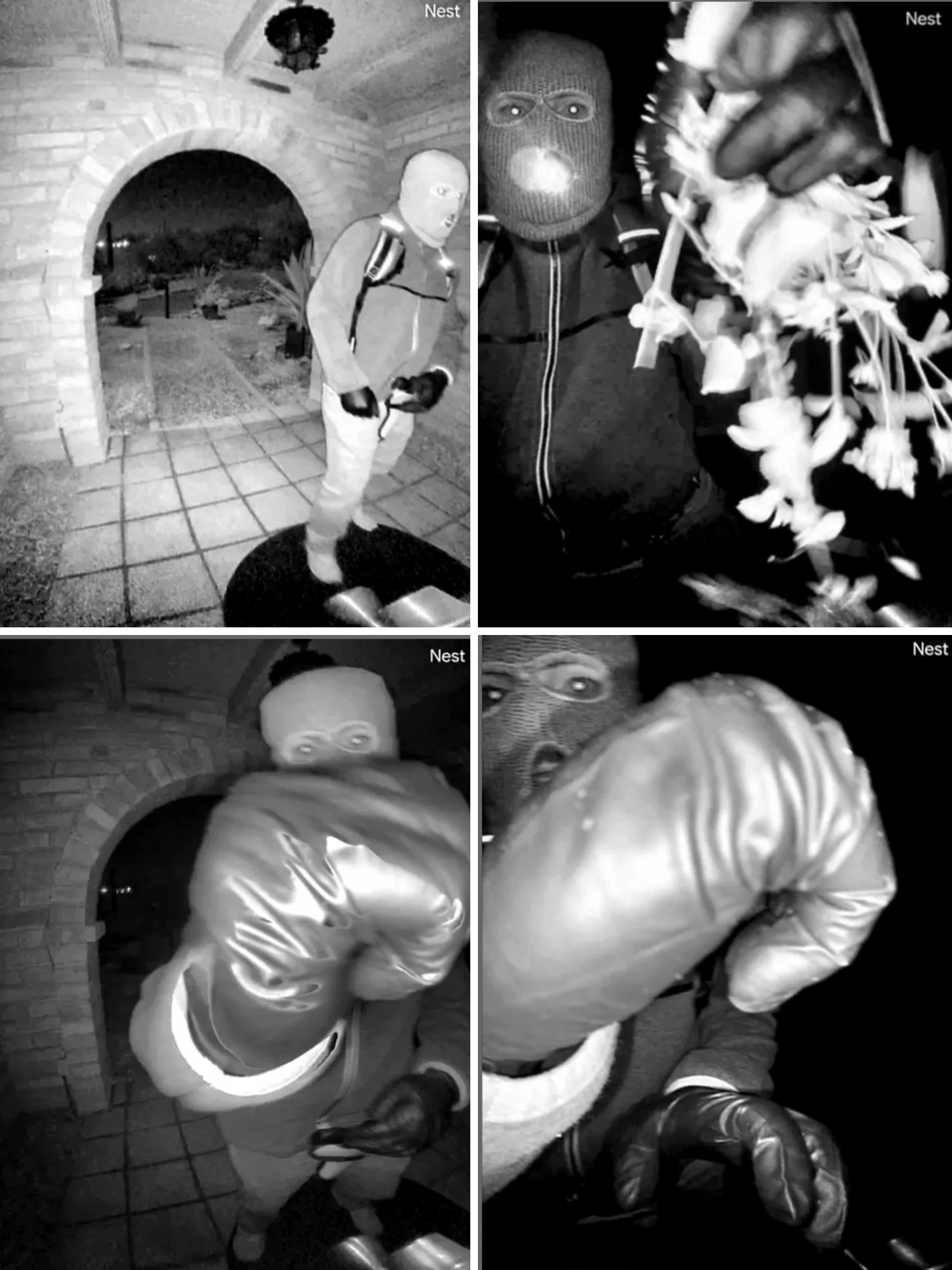 Savannah Guthrieová Mom Missing Nancy Guthrie