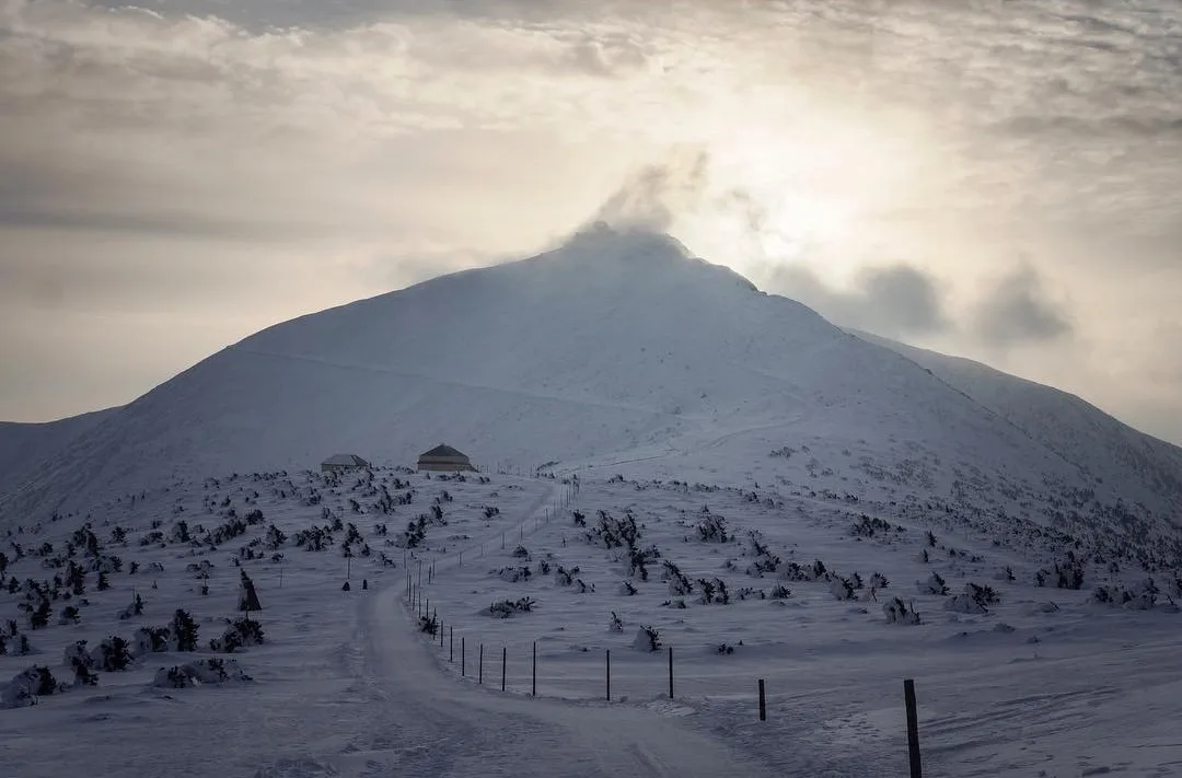 Sněžka