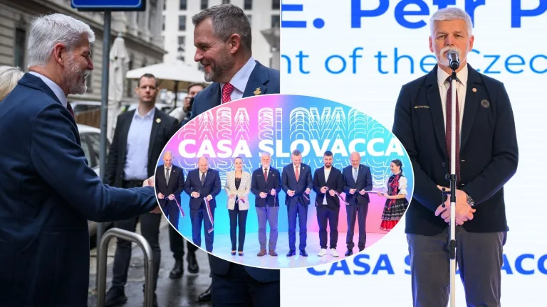 Petr Pavel, Pellegrini