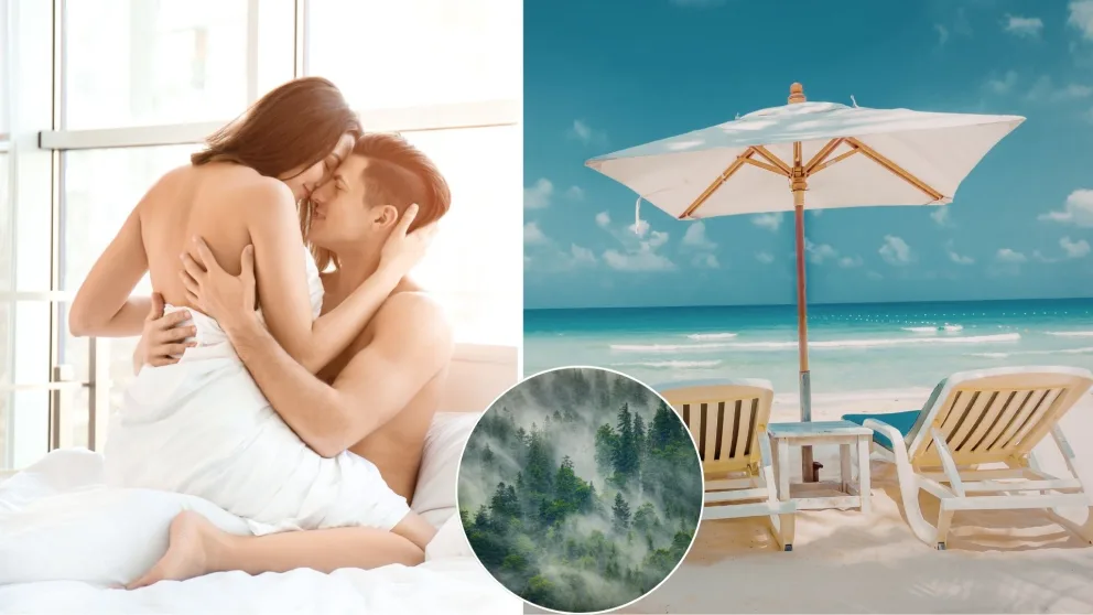 sex, miesta, pláž, les