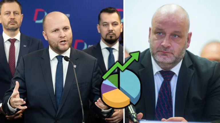 Naď, Nemky, prieskum, Demokrati