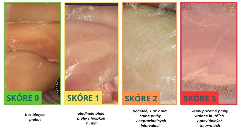 mäso kuracie prsia biele pruhovanie