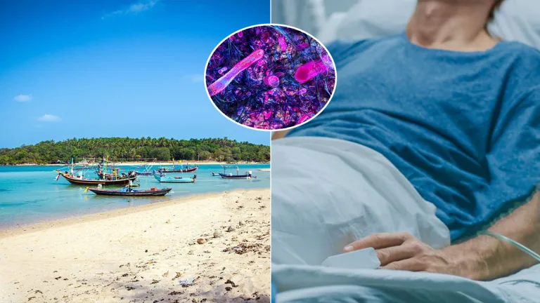 baktéria nemocnica dovolenka