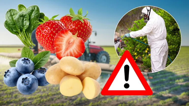 pesticídy ovocie zelenina