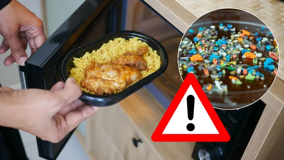 mikrovlnka mikroplasty