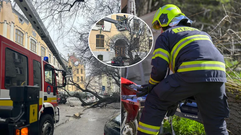 hasiči strom Bratislava