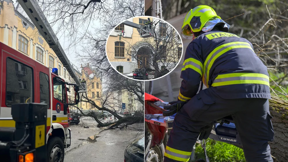 hasiči strom Bratislava