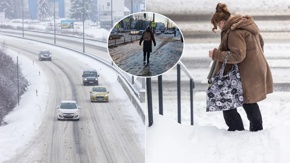 zima sneh poľadovica