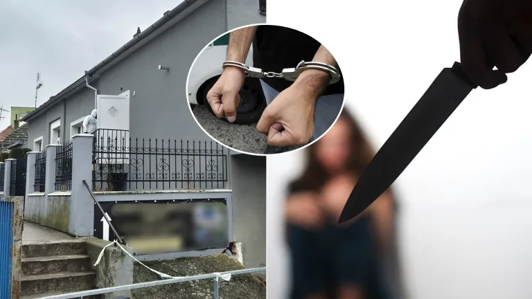 Levice vražda Jana Emka