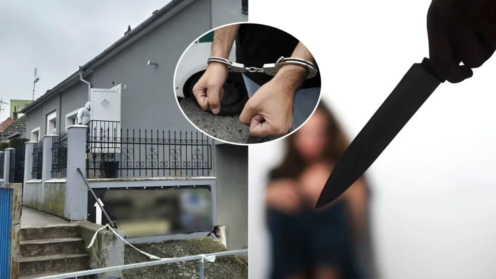 Levice vražda Jana Emka