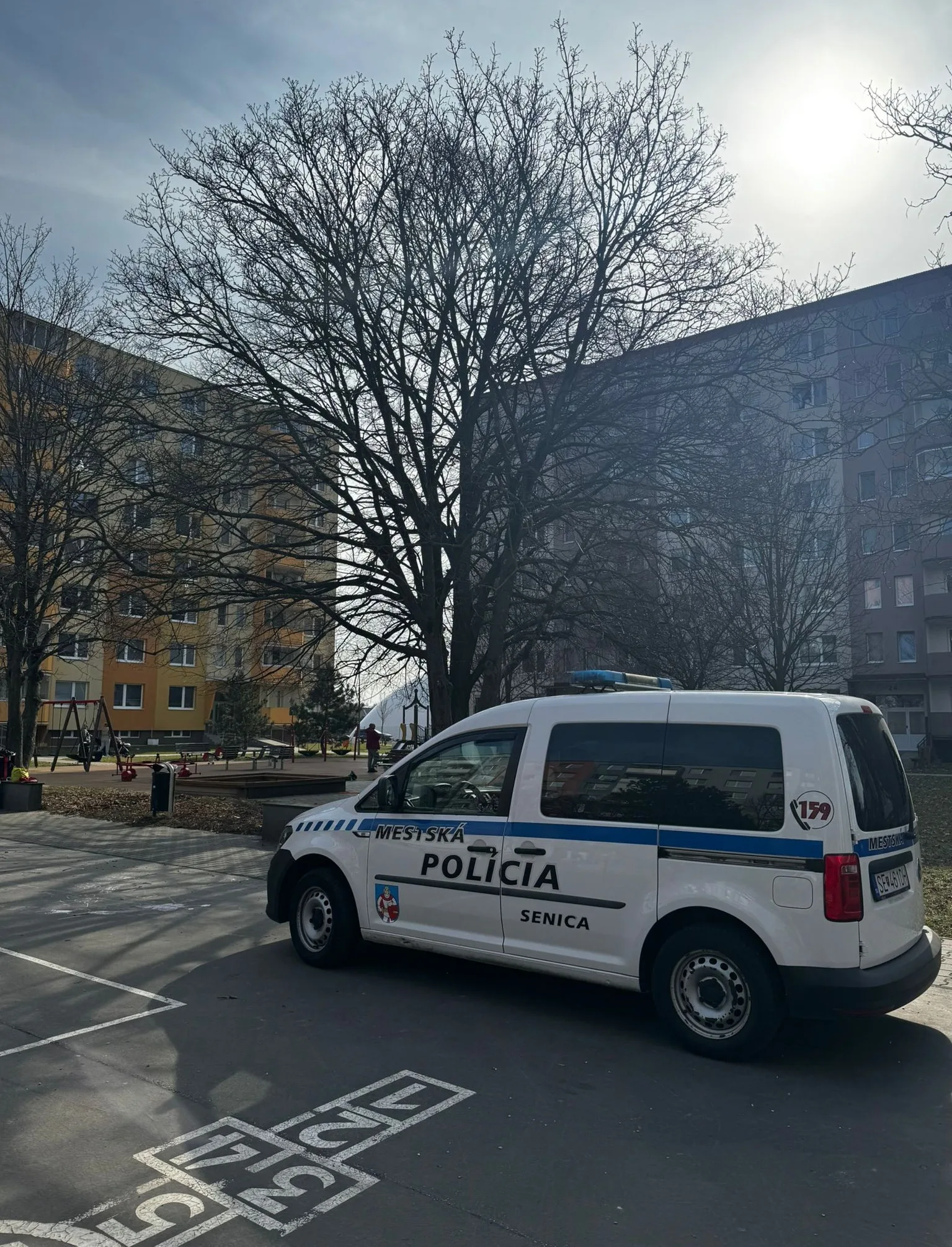 bicykel v korune stromu