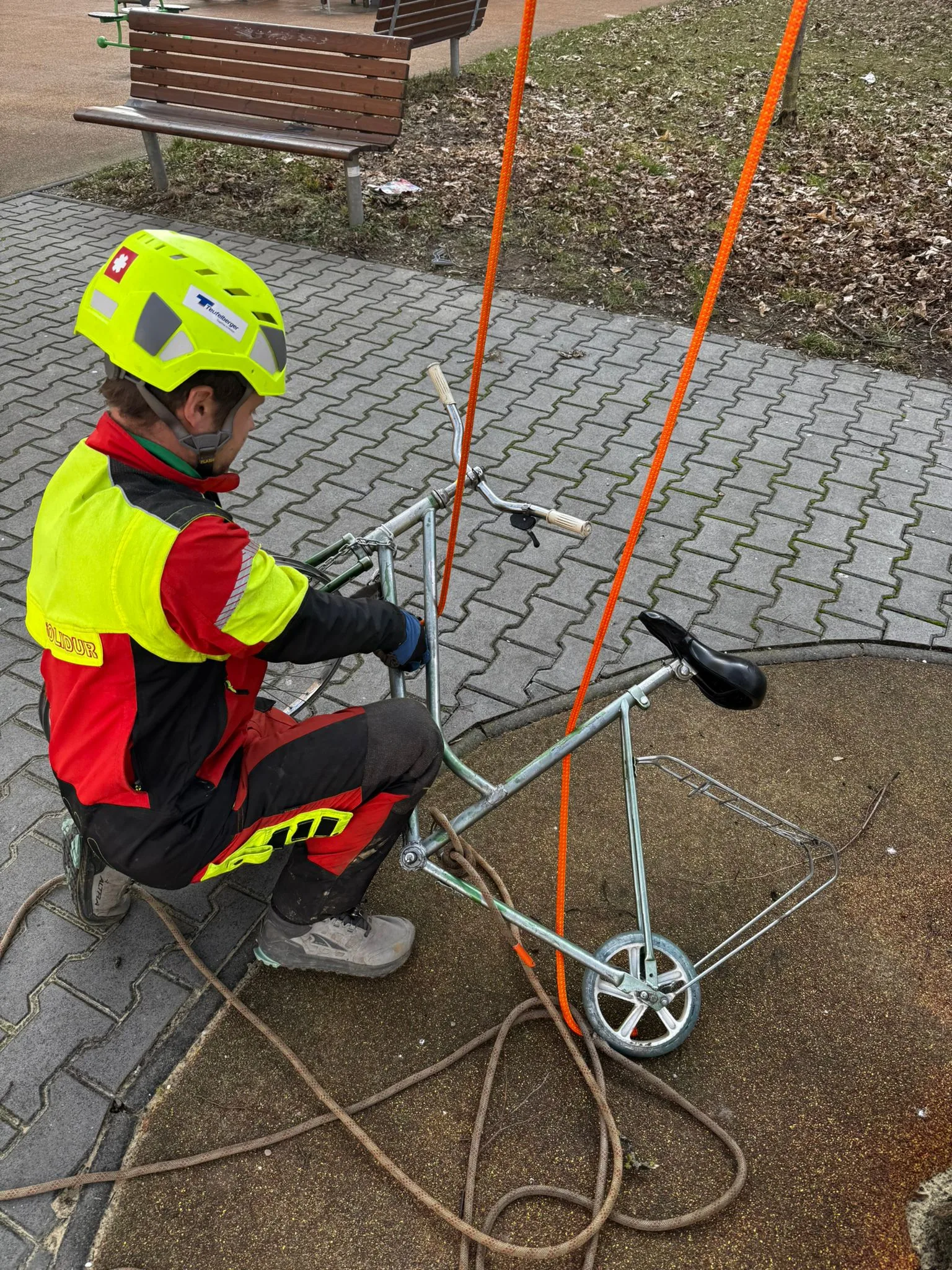 bicykel v korune stromu