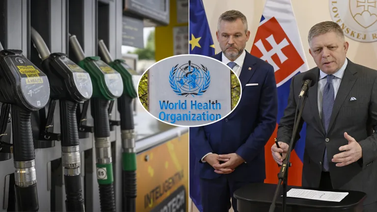 palivo WHO Fico Pellegrini