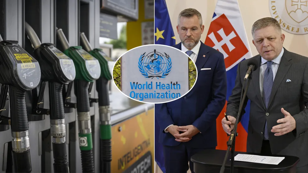 palivo WHO Fico Pellegrini