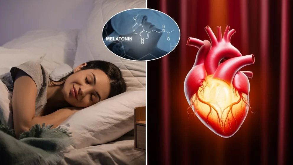melatonín, spánok, srdce