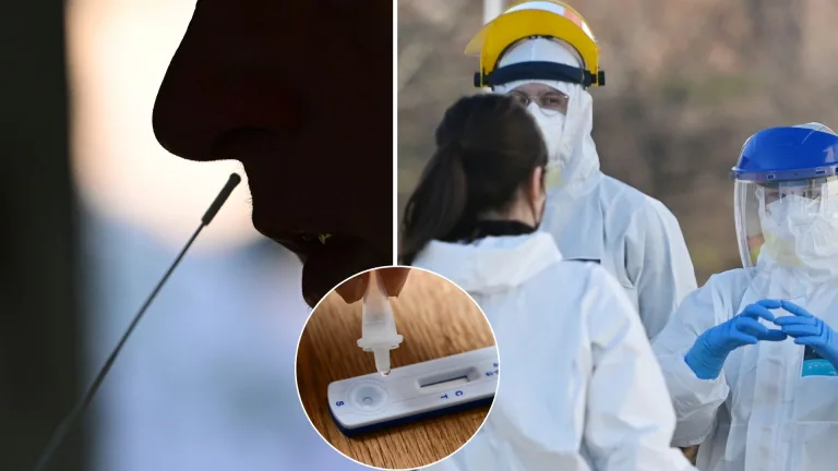 covid, výročie, prvý prípad