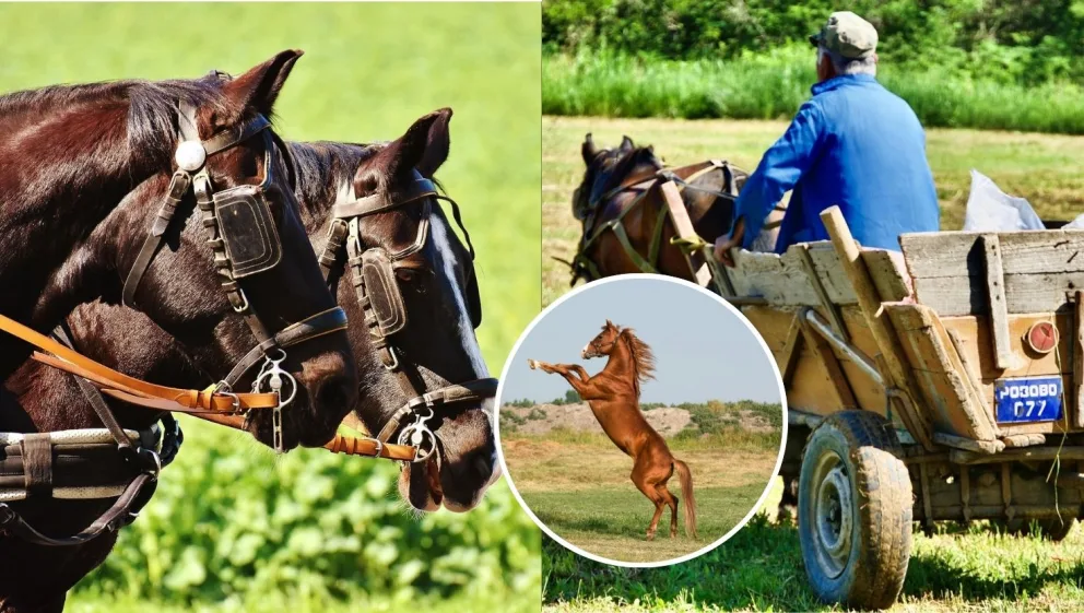 Hrôza v Liptovskej Porúbke