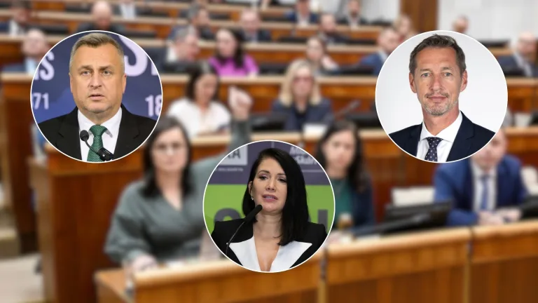 vláda danko cigániková majerský