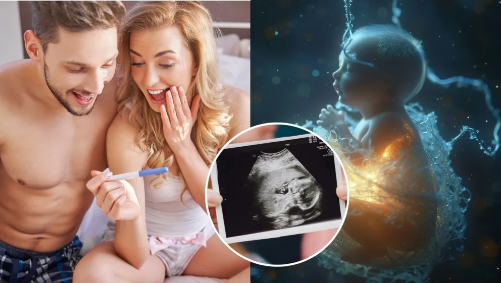 Kvalita spermií je najvyššia v lete a najnižšia v zime