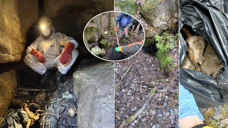 zvyšky uhynutých hospodárskych zvierat jaskyňa na Liptove