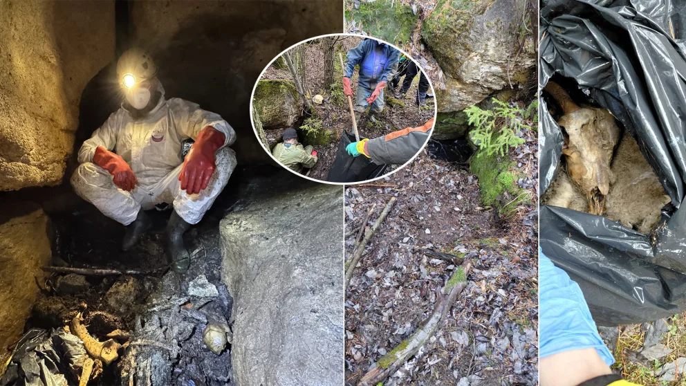 zvyšky uhynutých hospodárskych zvierat jaskyňa na Liptove